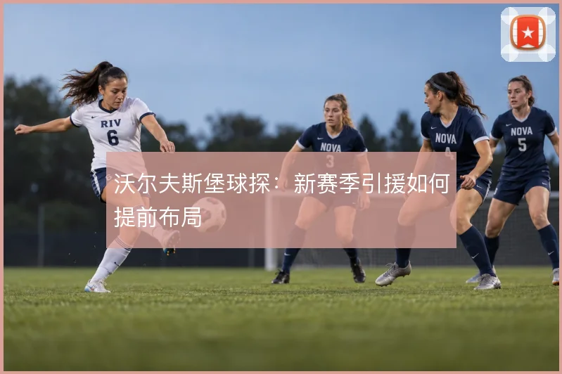 沃尔夫斯堡球探：新赛季引援如何提前布局