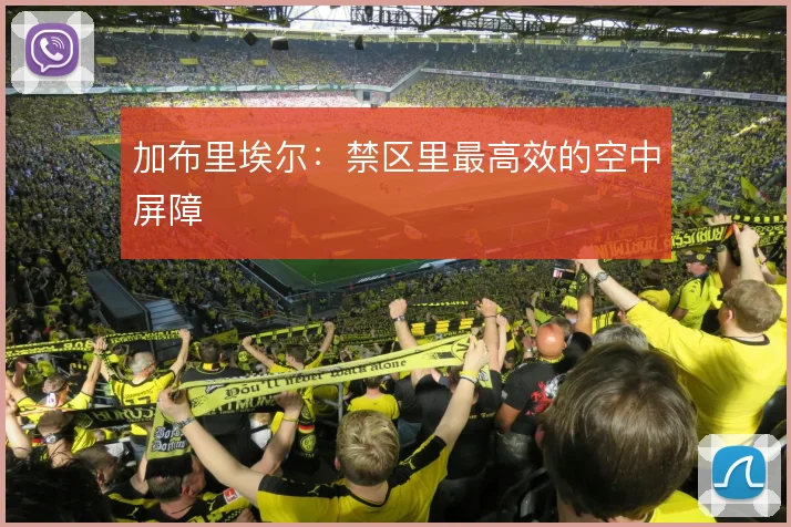 加布里埃尔：禁区里最高效的空中屏障