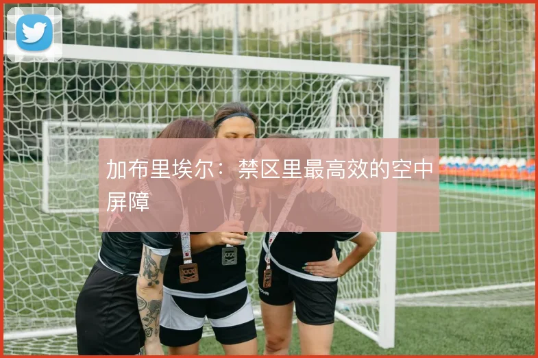 加布里埃尔：禁区里最高效的空中屏障